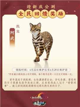 天龙八部私服手机端